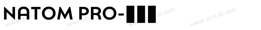 NATOM PRO字体转换 NATOM PRO字体转换